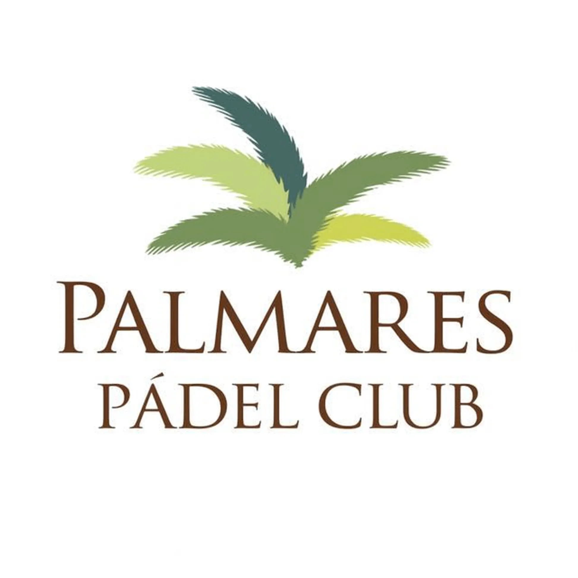 Palmares Padel Club