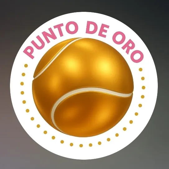 Torneos y canchas abiertas Punto de Oro 🥇